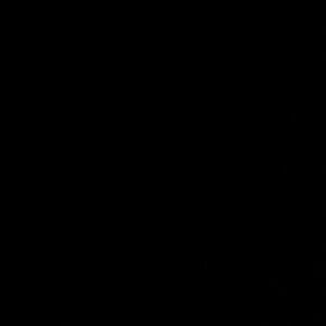 Meet your Posher, Ava